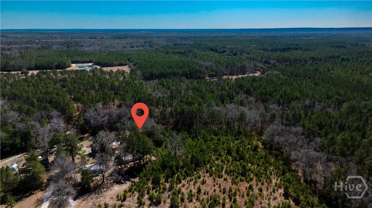 TBD Firetower Road, Ridgeland, SC 29936 - Image #1