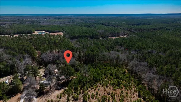 TBD Firetower Road, Ridgeland, SC 29936