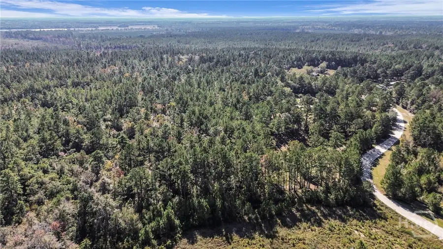 5036 Cherrywood Drive, Ellabell, GA 31308 - Image #3