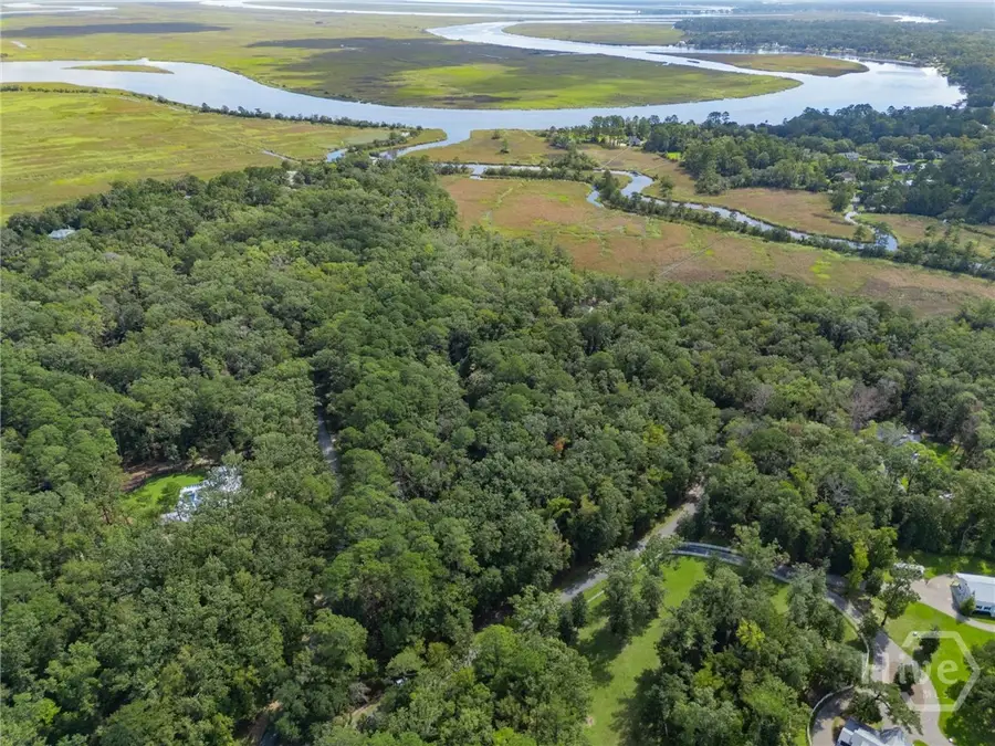 130 Mcallister Landing, Richmond Hill, GA 31324 - Image #2