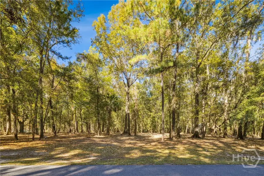 217 Mcallister Landing, Richmond Hill, GA 31324 - Image #2