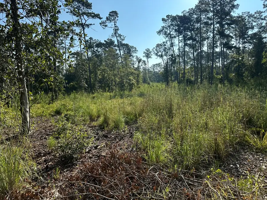 00 00 Hwy 111 South Tract 2, Cairo, GA 39828 - Image #2