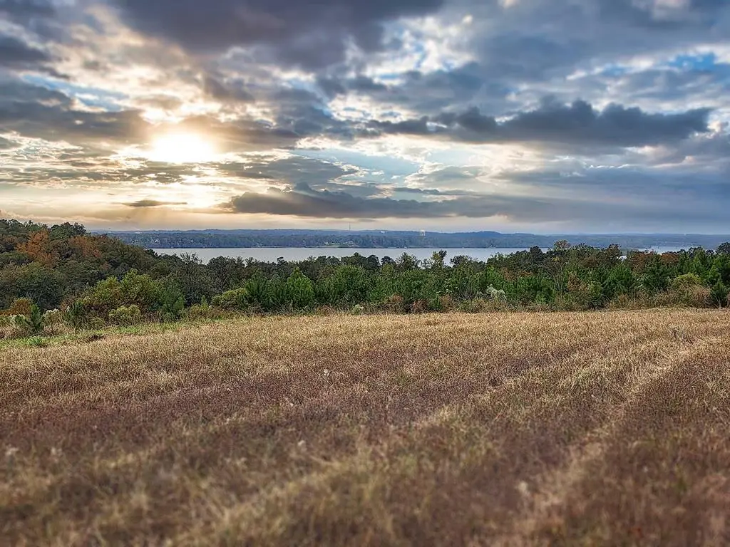 000 Cool Branch Road, Georgetown South, GA 39854 - Image #1