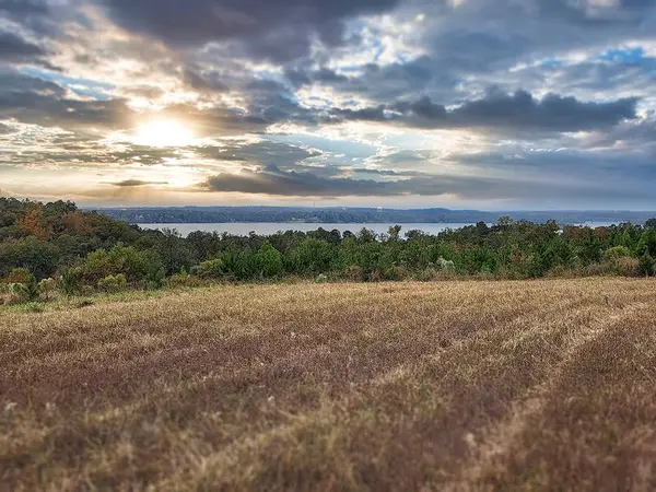 000 Cool Branch Road, Georgetown, GA 39854