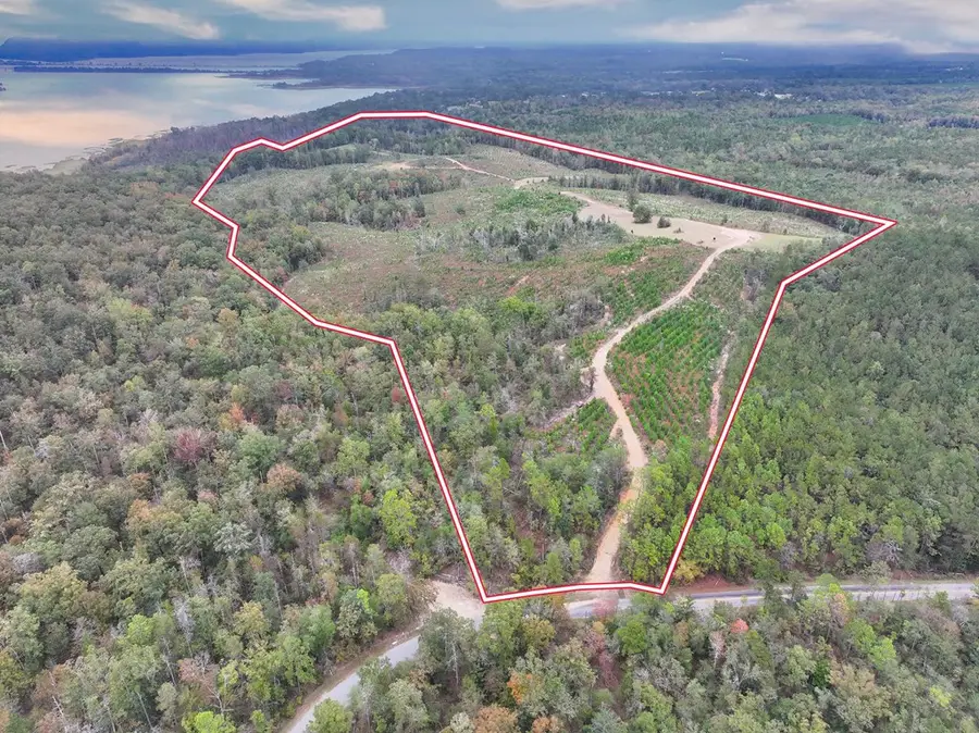 000 Cool Branch Road, Georgetown South, GA 39854 - Image #3