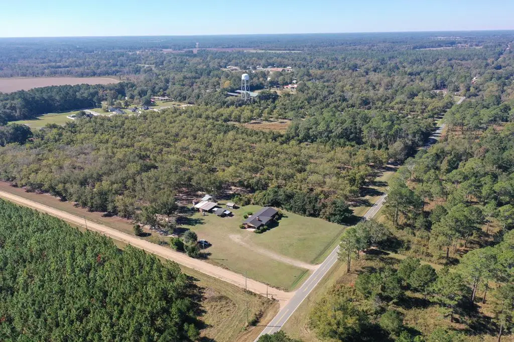 258 Woodhaven Road (44+/- Acres), Coolidge, GA 31738 - Image #1