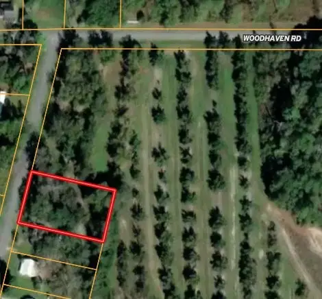 0000 N Mamie Street (.67 Acres(, Coolidge, GA 31738 - Image #2