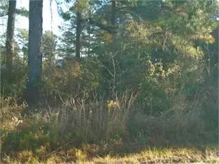 00 Ragin Road #12, Moultrie, GA 31768 - Image #2