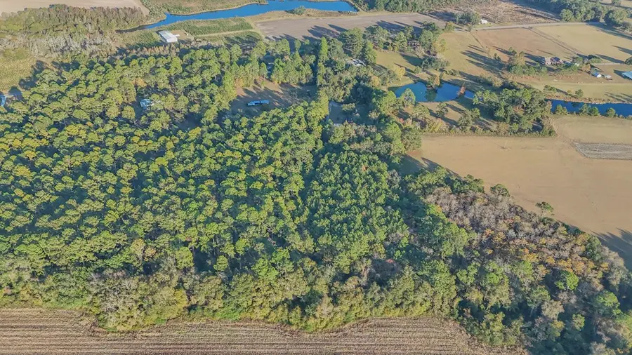 7921 Five Forks Rd, Boston, GA 31626 - Image #3