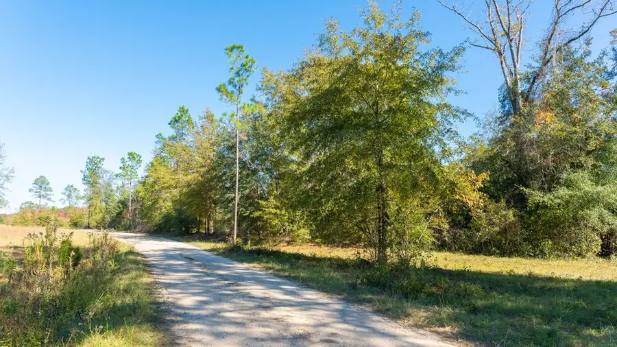 00 N Hwy 188, Cairo, GA 39827 - Image #2