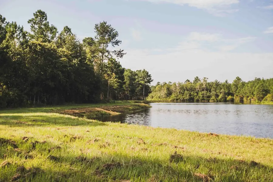 210 Egg & Butter Road, Ochlocknee, GA 31773 - Image #2