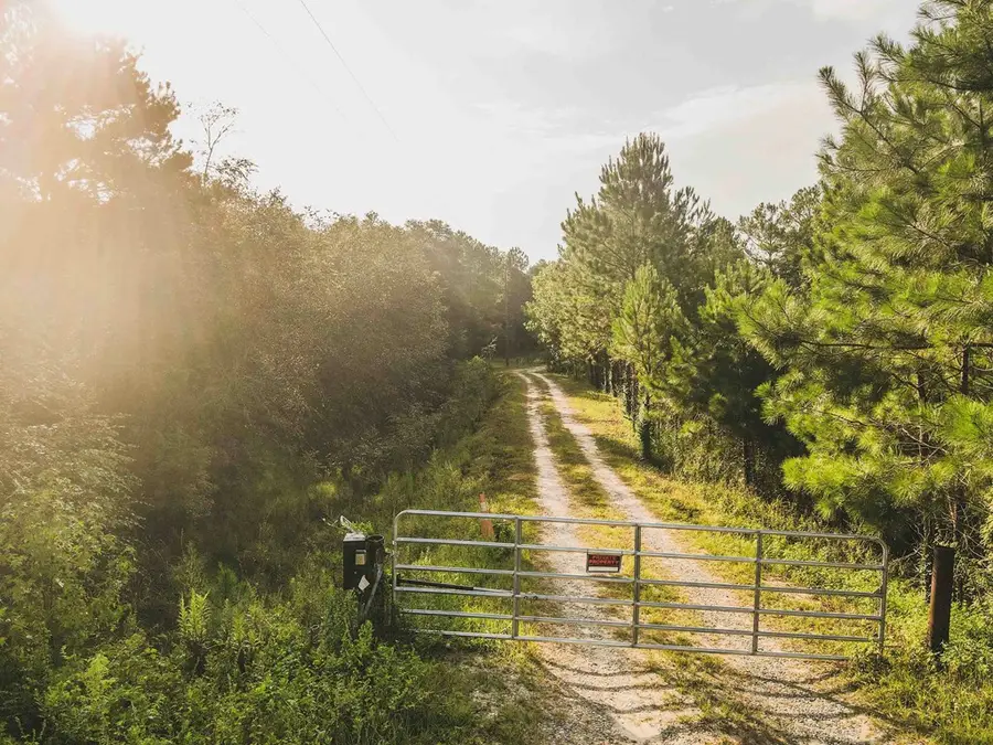 210 Egg & Butter Road, Ochlocknee, GA 31773 - Image #3