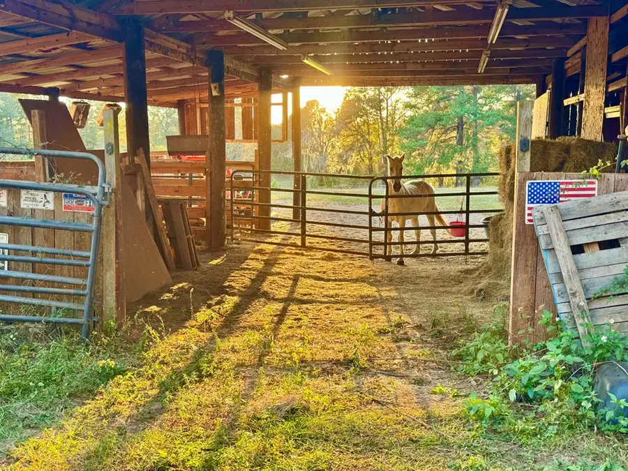 592 SE 20th Se, Cairo, GA 39828 - Image #3