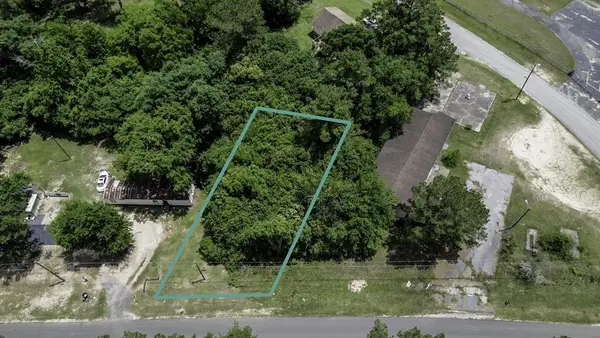 Lot 33 Thomas St (lot 33 Mcgriff Subdivision), Attapulgus, GA 39815