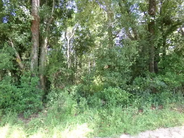 TBD Sassafras Tea Road, Camilla, GA 31730 - Image #3