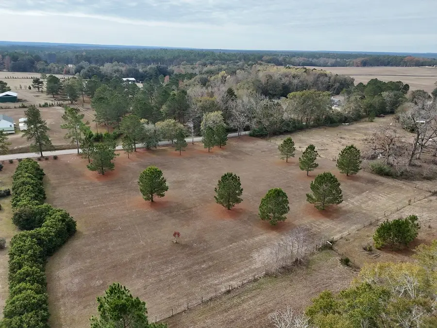 2ACR Lewis Rd., Cairo, GA 39828 - Image #3