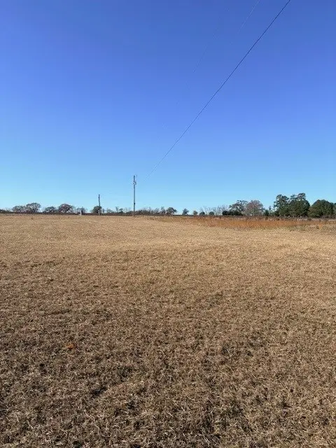 4135 Ga Hwy 111 N, Cairo, GA 39827 - Image #3