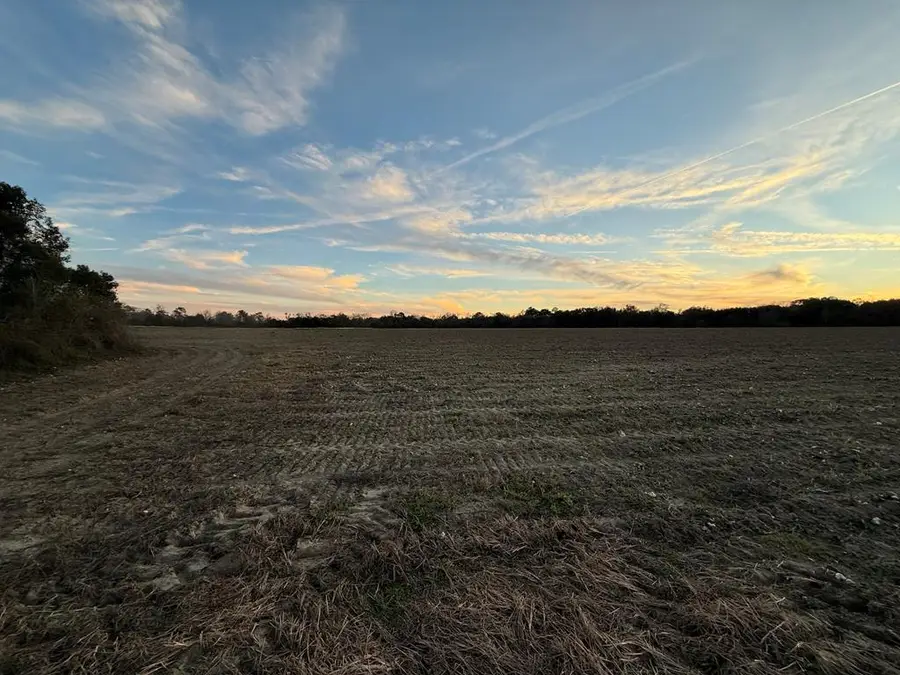 00 N Us Hwy 19, Meigs, GA 31765 - Image #2