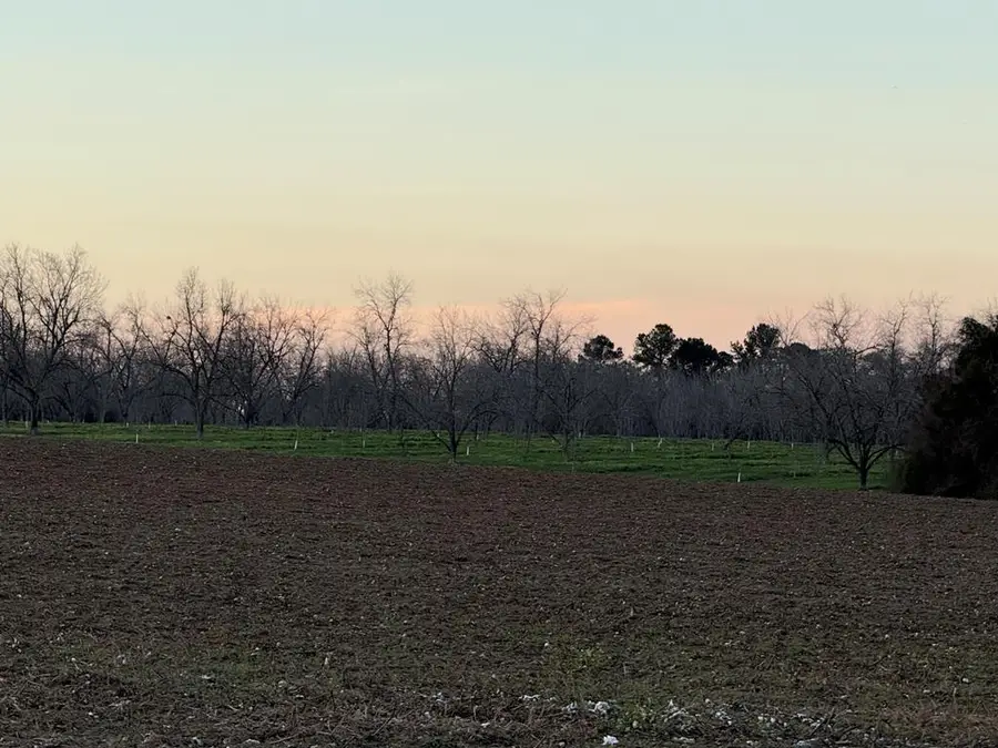 00 N Us Hwy 19, Meigs, GA 31765 - Image #3