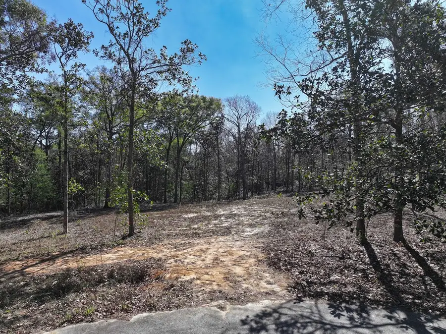 116 Ivanhoe Dr, Thomasville, GA 31792 - #2