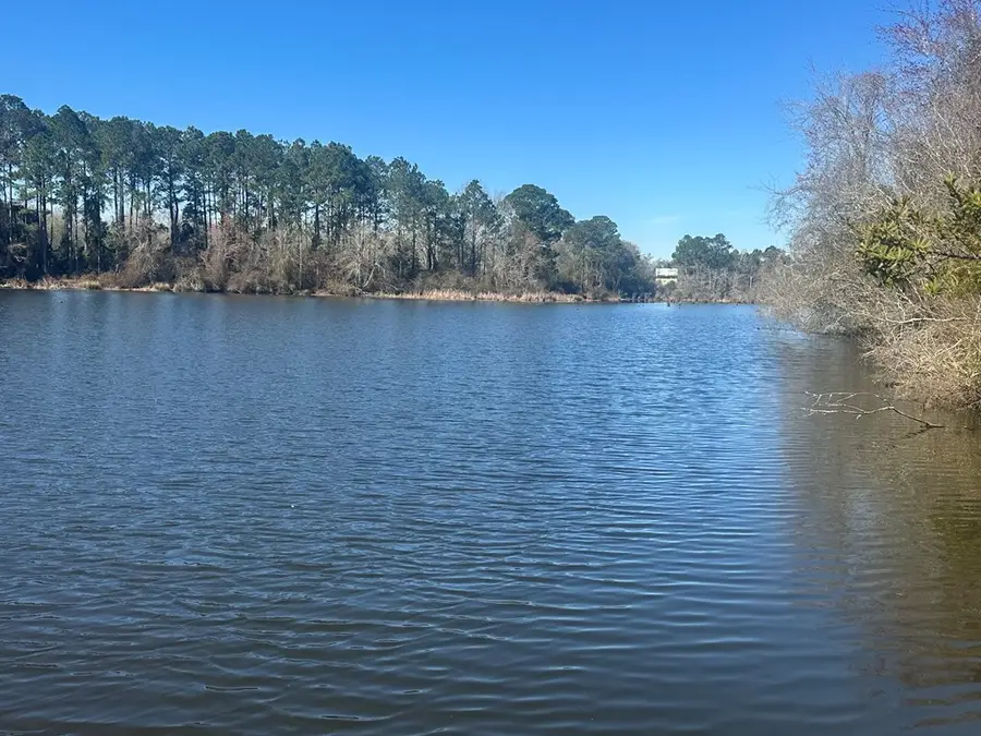 00 Cottonwood Road, Meigs, GA 31765 - #3