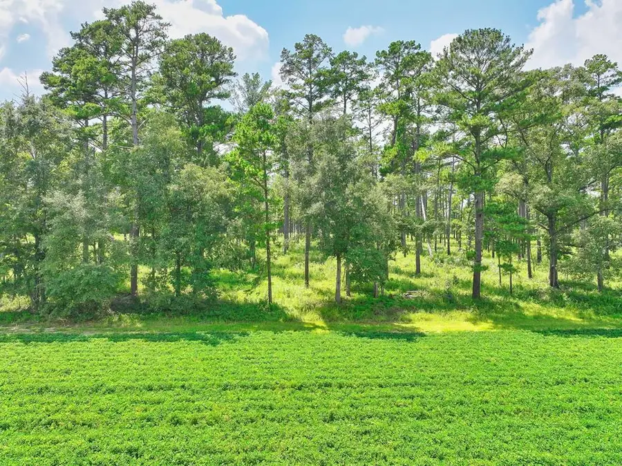 2501 Stringer Rd, Thomasville, GA 31792 - #3