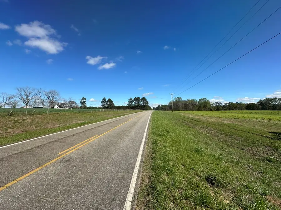 0000 0000 Ozell Road (15+/- Acres), Boston, GA 31626 - #3