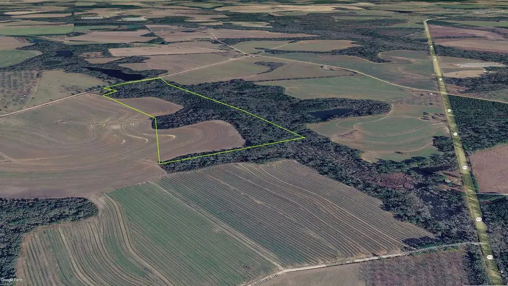 00 Union Hill Rd., Cairo, GA 39828 - #1