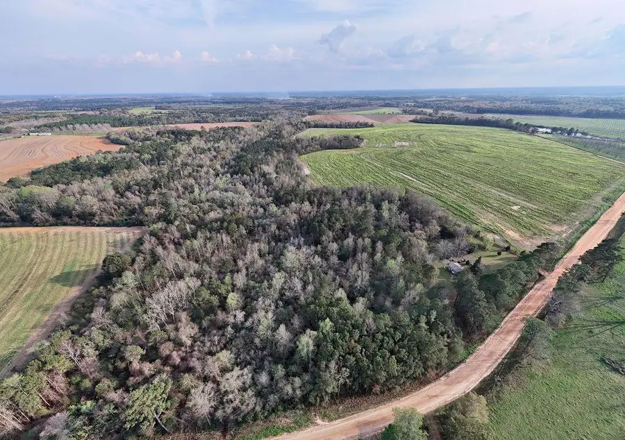 00 Union Hill Rd., Cairo, GA 39828 - #2