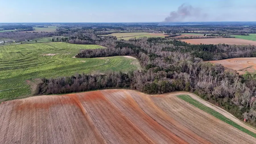 00 Cuffhead Rd., Cairo, GA 39828 - #2