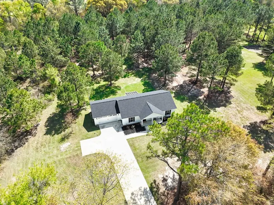 450 Pine Forest Road, Ochlocknee, GA 31773 - #2