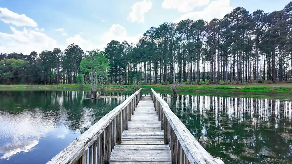 1197 Vonier Rd., Pavo, GA 31778 - #1