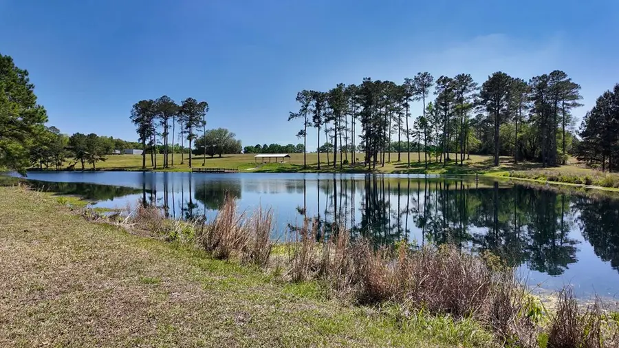 1168 Pine Park Road, Cairo, GA 39828 - #3