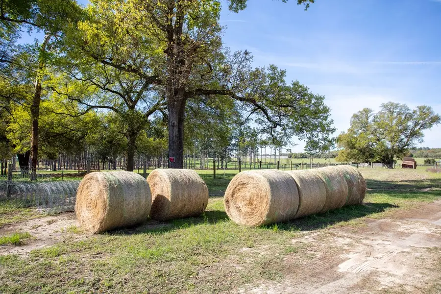 192 Breedlove Road, Bainbridge, GA 39817 - #3