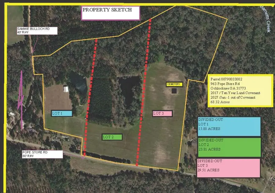963 Popes Store Rd 15 Acres #1, Cairo, GA 39827 - #2