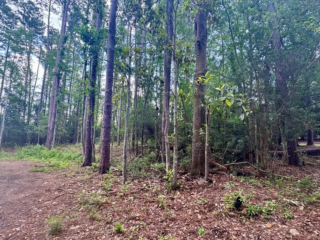 1511 N Dawson St., Thomasville, GA 31792 - #1