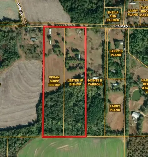 374 Cain Rd (23+/- Acres), Cairo, GA 39828 - #3