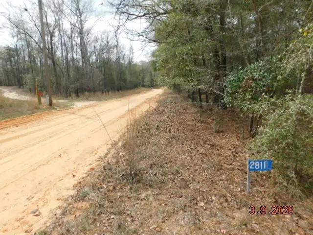 2811 Clubhouse Road, Coleman, GA 39836 - #2