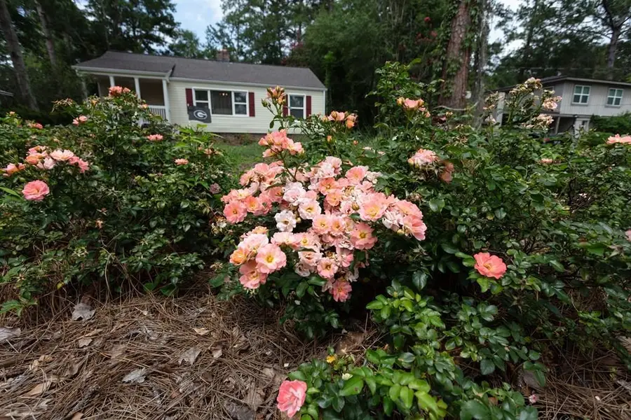 312 Myrtle Dr., Thomasville, GA 31792 - #2