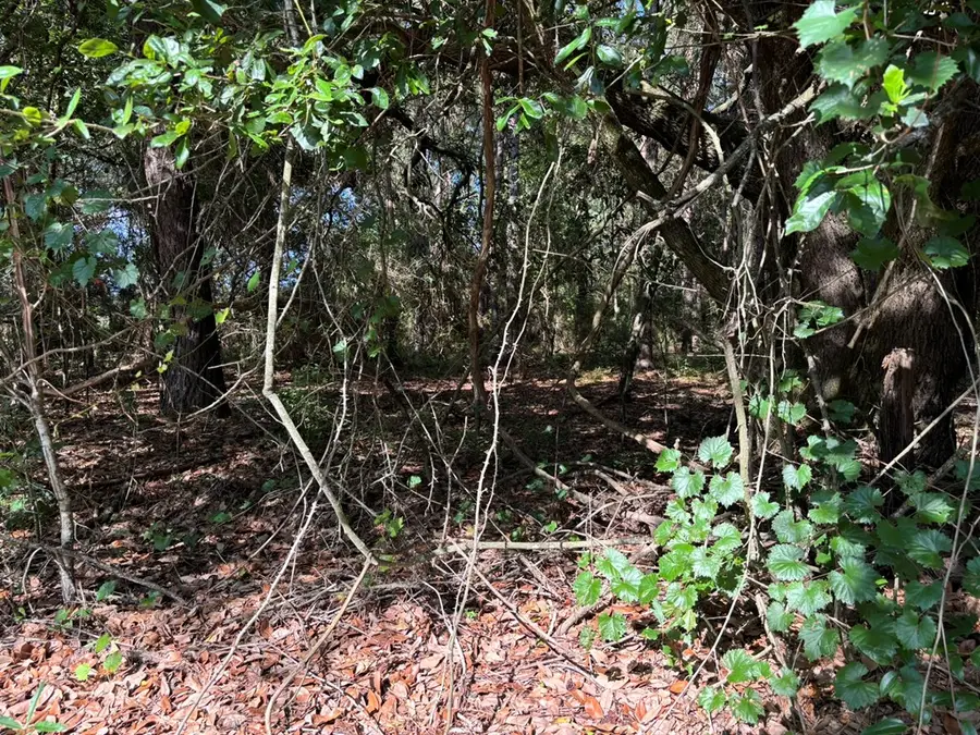 Tract #1 Convick Circle, Pavo, GA 31778 - #2