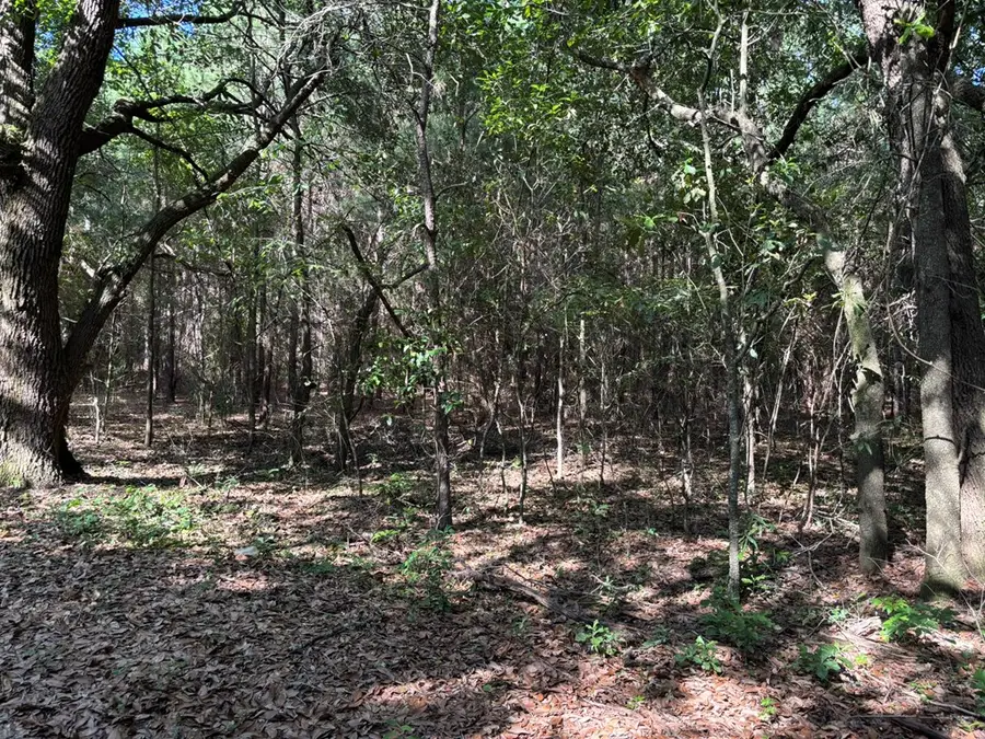 Tract #2 Convick Circle, Pavo, GA 31778 - #2