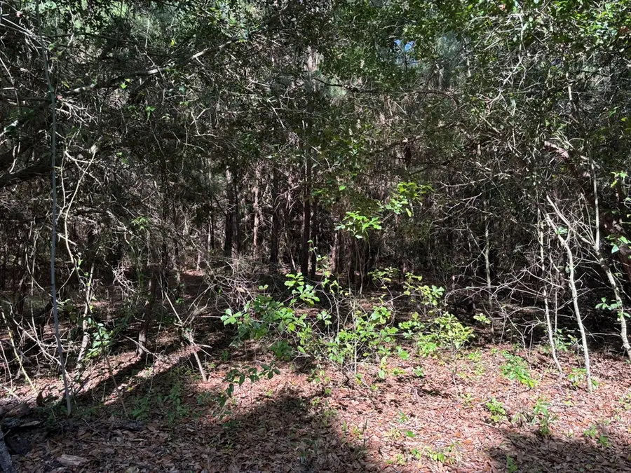 Tract #2 Convick Circle, Pavo, GA 31778 - #3