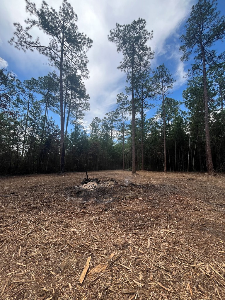 00 Sanford Road (3 Acres), Thomasville, GA 31757 - #2
