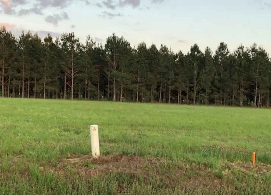 108 Paces Ln, Boston, GA 31626 - #3