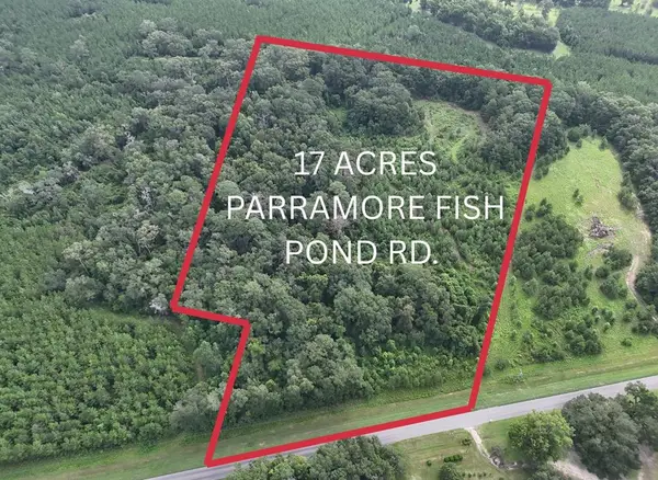 17 ACR Parramore Fish Pond Rd. (parcel #028014), Boston, GA 31626