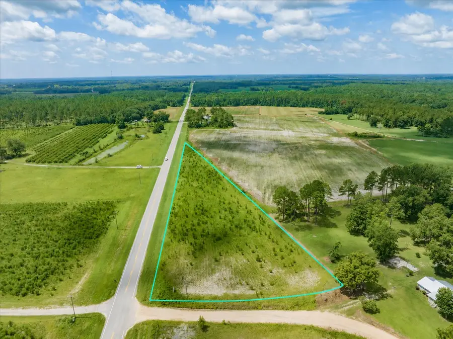 4231 Adel Hwy, Quitman, GA 31643 - #2