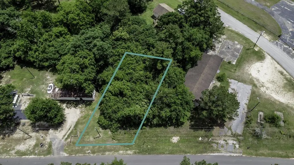 000 Thomas Ave. (lot 33 Mcgriff Subdivision) #33, Attapulgus, GA 39815 - #1