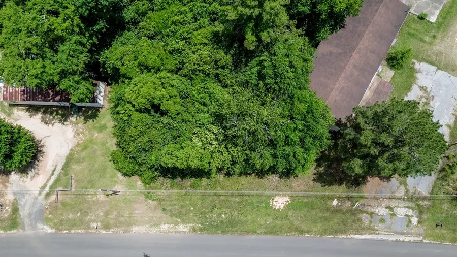 000 Thomas Ave. (lot 33 Mcgriff Subdivision) #33, Attapulgus, GA 39815 - #2