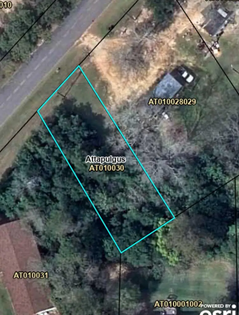 000 Thomas Ave. (lot 33 Mcgriff Subdivision) #33, Attapulgus, GA 39815 - #3