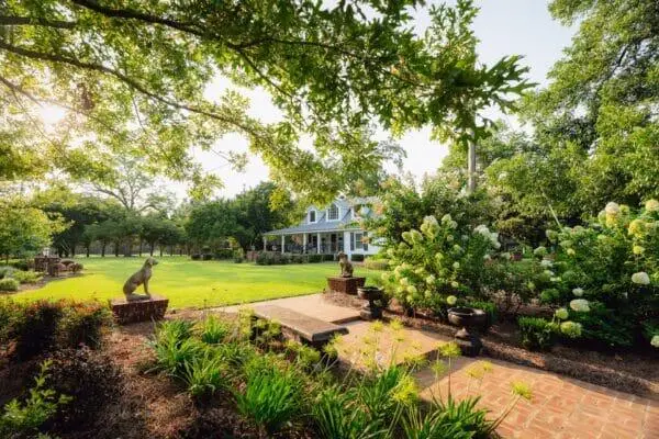 207 Kemp Road, Climax, GA 39834 - #3